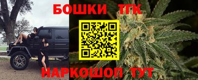 индика Будённовск