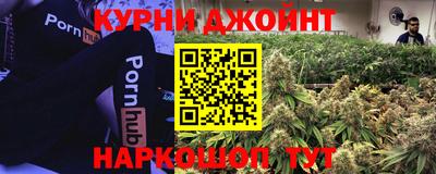 индика Будённовск