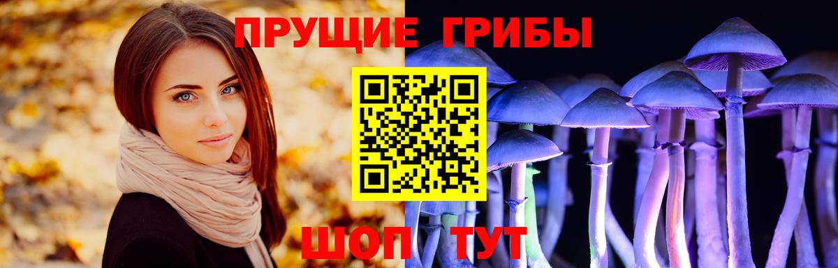 Псилоцибиновые грибы мицелий  Вход с VPN  Полевской 
